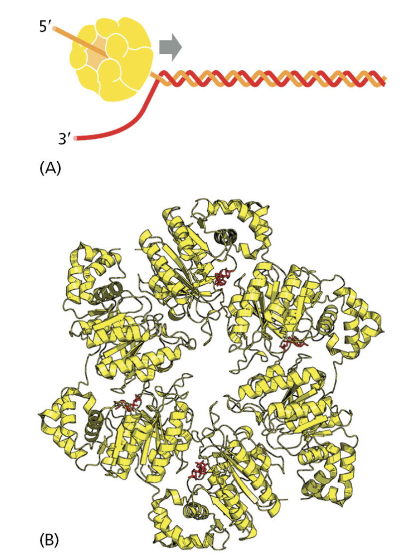 Figure 5-14.png